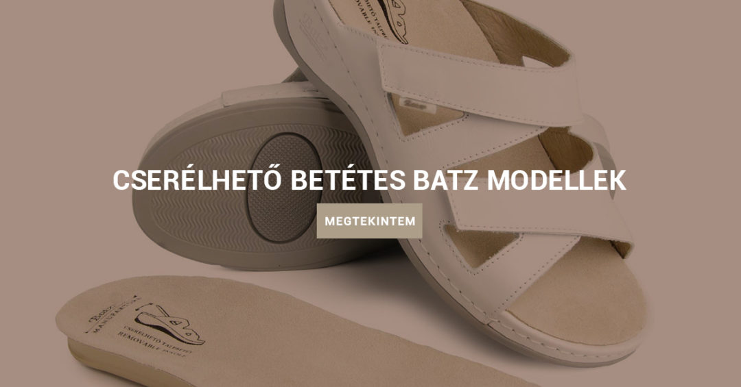 Ingyenes felmérés a Batznál