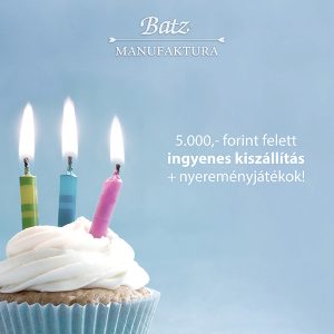 3 éves webáruház
